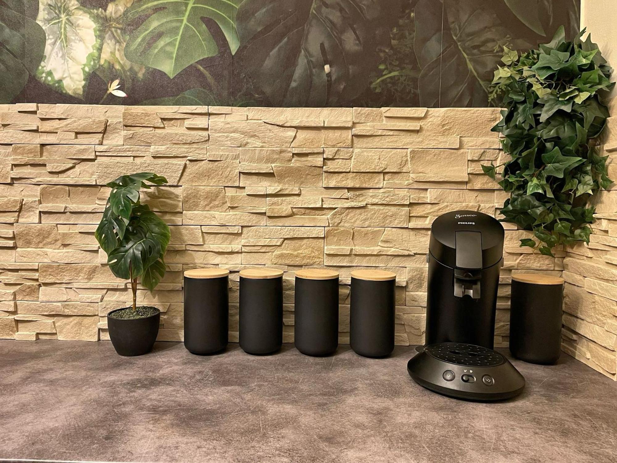 Apartment Jungle *